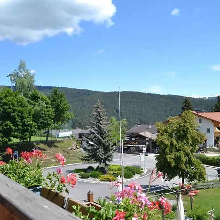 Gasthof Zum Gruenen Baum-2