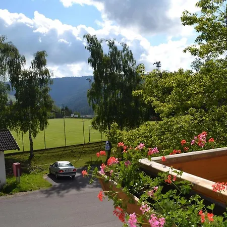Gasthof Zum Gruenen Baum-3